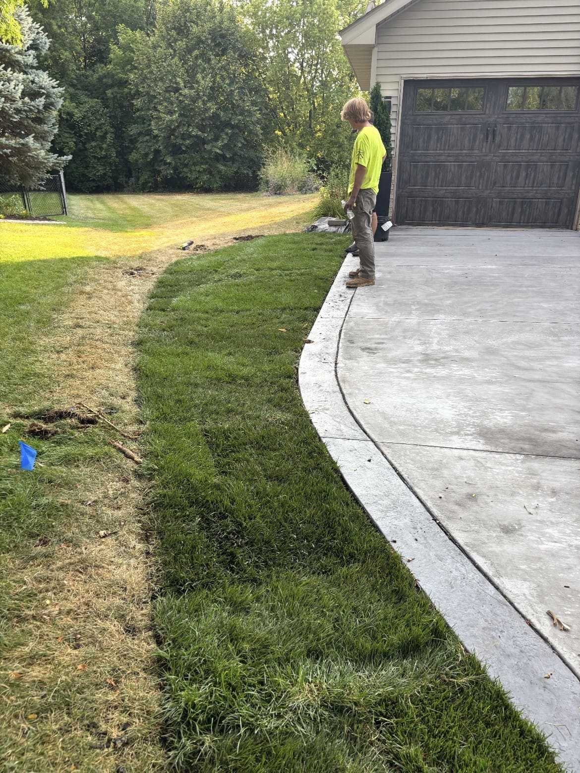 Sod Installation service